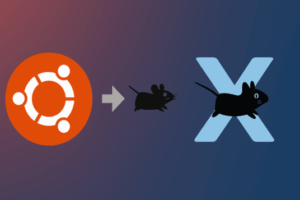  Změna linuxového prostředí: Instalace XFCE do Ubuntu 24.04.2 LTS Linux nabízí mnoho desktopových prostředí, která můžete měnit bez nutnosti přeinstalace celého systému. V tomto návodu si ukážeme, jak přejít na XFCE – lehké a svižné prostředí, ideální pro slabší hardware nebo uživatele, kteří chtějí jednoduchost a rychlost.